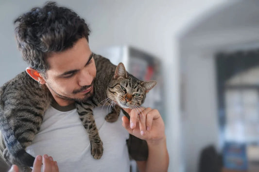 How Cats Choose Their Favorite Human!