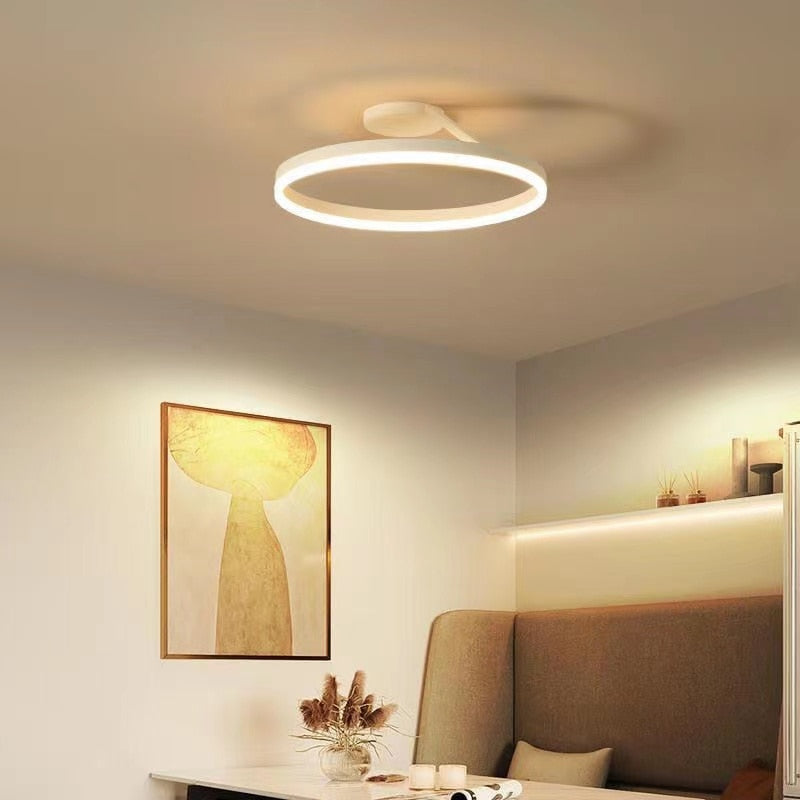 Chandeliers Modern Acrylic Ring Light sold by Fleurlovin, Free Shipping Worldwide