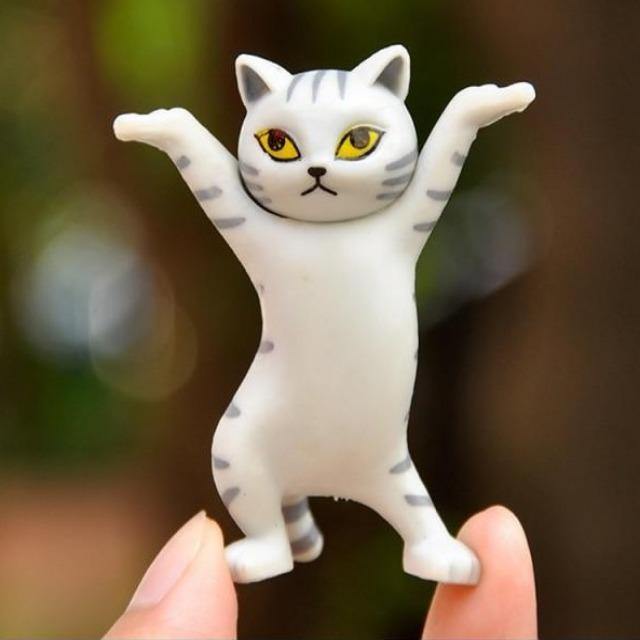  Dance Cat Decor sold by Fleurlovin, Free Shipping Worldwide