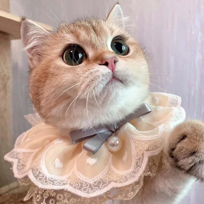 Fashion Cat Lace sold by Fleurlovin, Free Shipping Worldwide