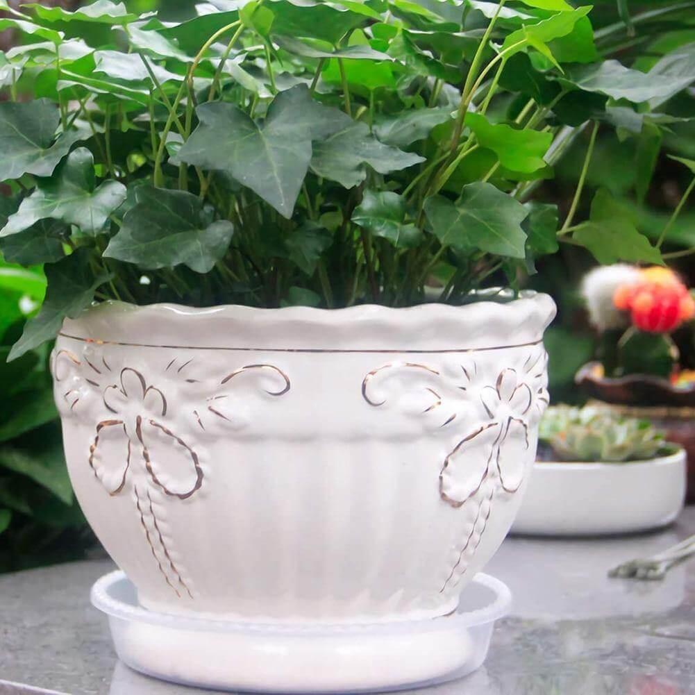Garden Pot Saucers & Trays 10-Piece Clear Plastic Planter Saucer Set sold by Fleurlovin, Free Shipping Worldwide