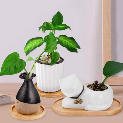 Garden Pot Saucers & Trays Natural Bamboo Planter Saucer Trays sold by Fleurlovin, Free Shipping Worldwide