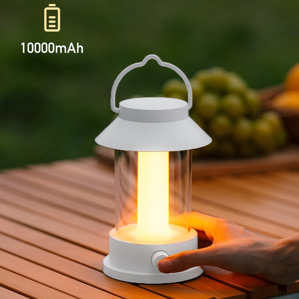 Garden lights Stepless Dimming Atmosphere Night Light Outdoor sold by Fleurlovin, Free Shipping Worldwide