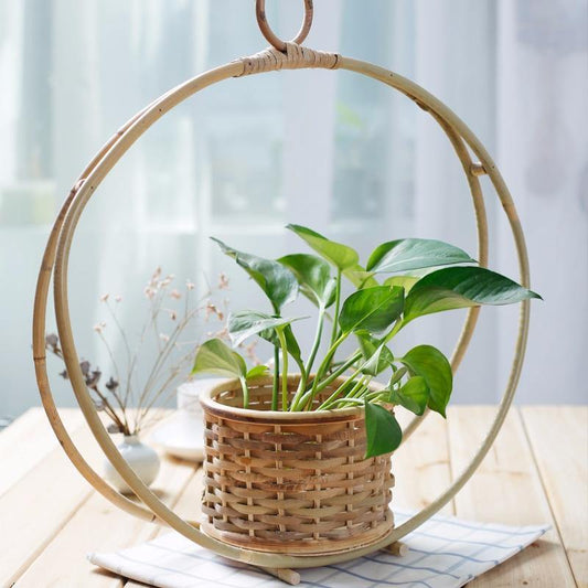Hanging Planters Hand-Woven Bamboo Hanging Planter Basket sold by Fleurlovin, Free Shipping Worldwide