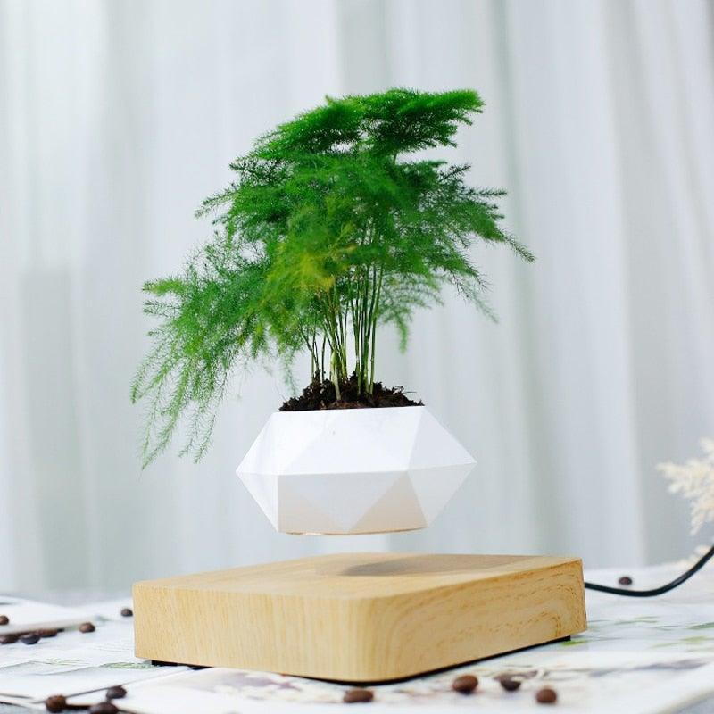  Levitating Air Bonsai Pot sold by Fleurlovin, Free Shipping Worldwide