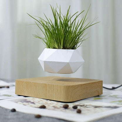 Levitating Air Bonsai Pot sold by Fleurlovin, Free Shipping Worldwide