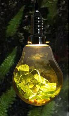 Light Dax - Garden Globe Pendant Light sold by Fleurlovin, Free Shipping Worldwide