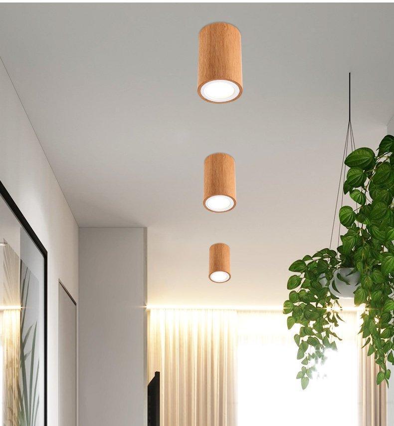 Light Dru - Modern Nordic LED Ceiling Lights sold by Fleurlovin, Free Shipping Worldwide