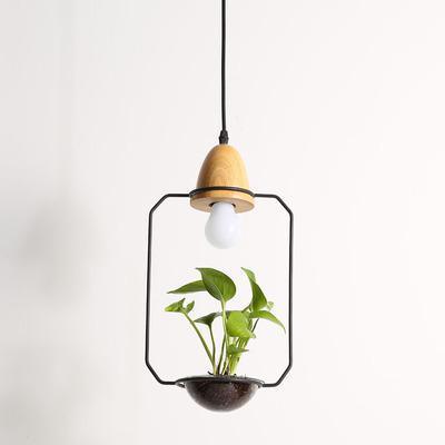 Zox - Modern Nordic Iron Pendant Planter Lamp - Premium Light from Fleurlovin Lights - Just $252.95! Shop now at Fleurlovin