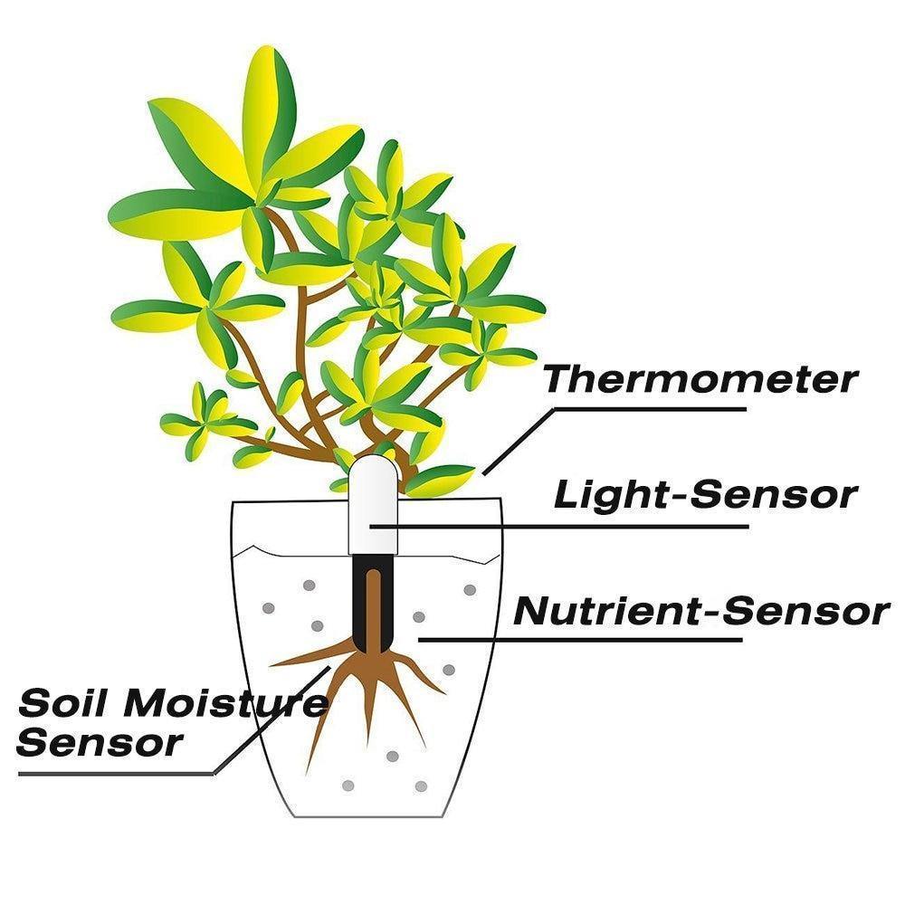 Measuring Tools & Sensors Smart Plant Water Meter and Health Sensor sold by Fleurlovin, Free Shipping Worldwide