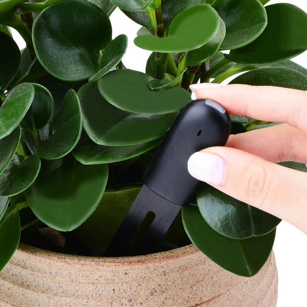 Measuring Tools & Sensors Smart Plant Water Meter and Health Sensor sold by Fleurlovin, Free Shipping Worldwide