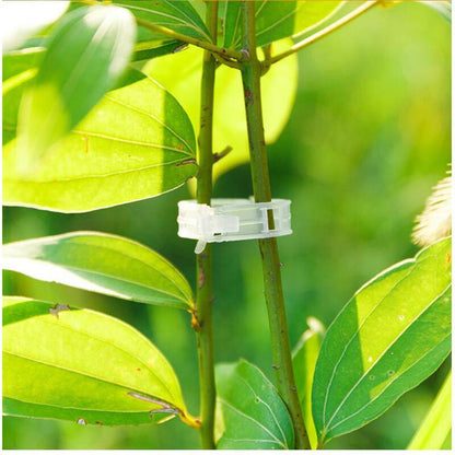 Plant Cages & Supports Plant Stalk Support Mounting Clip Set sold by Fleurlovin, Free Shipping Worldwide