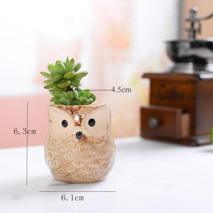 Pots & Planters 6-Piece Mini Owl Ceramic Succulent Planter Pots sold by Fleurlovin, Free Shipping Worldwide