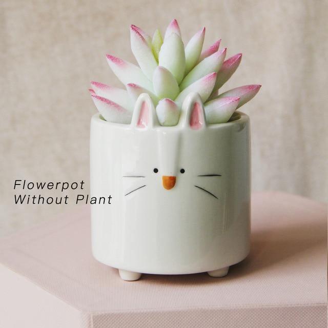 Pots & Planters Boxy Animal Ceramic Succulent Planters sold by Fleurlovin, Free Shipping Worldwide