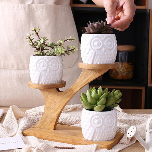 Pots & Planters Tiered Ceramic Owl Succulent Planters with Bamboo Shelf sold by Fleurlovin, Free Shipping Worldwide