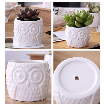 Pots & Planters Tiered Ceramic Owl Succulent Planters with Bamboo Shelf sold by Fleurlovin, Free Shipping Worldwide