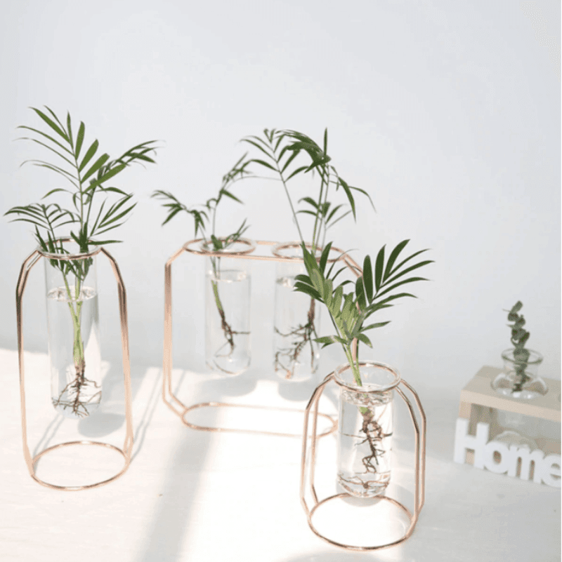 Propagation Geometric Floating Iron and Glass Propagation Vase sold by Fleurlovin, Free Shipping Worldwide