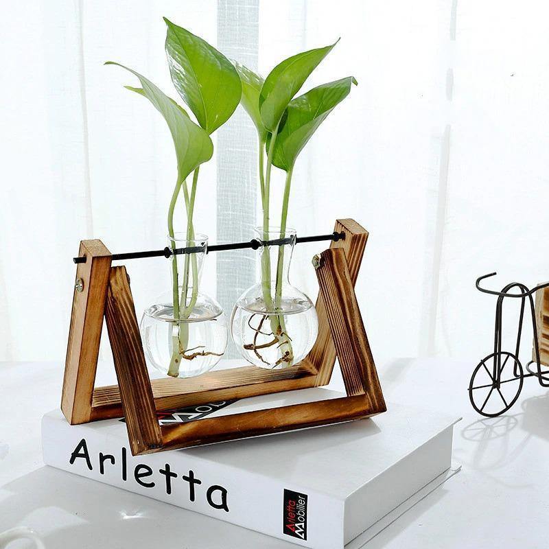 Propagation Glass Propagation Vase with A-Frame Wooden Stand sold by Fleurlovin, Free Shipping Worldwide