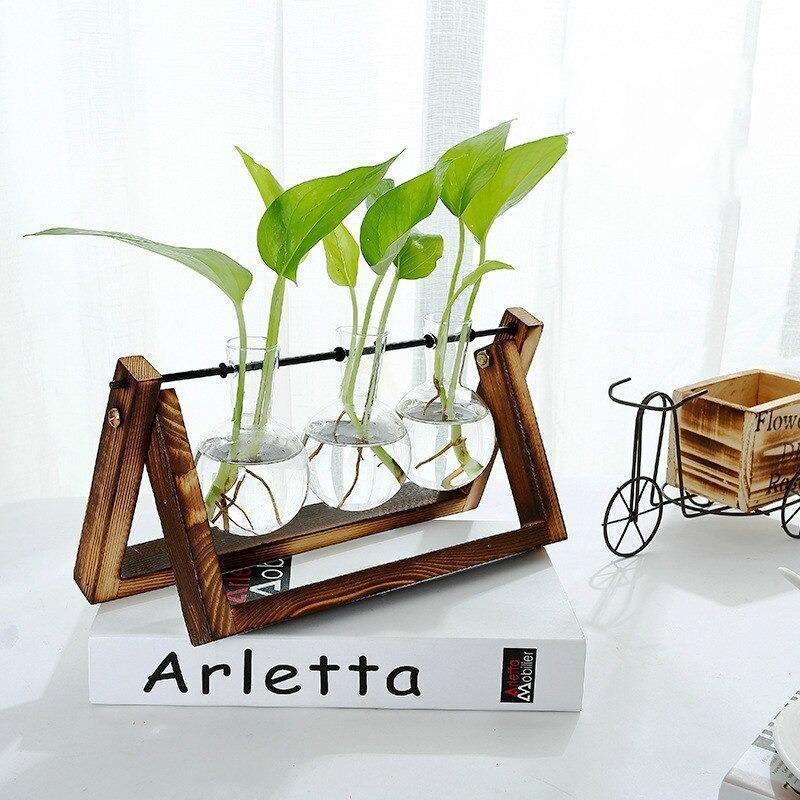 Propagation Glass Propagation Vase with A-Frame Wooden Stand sold by Fleurlovin, Free Shipping Worldwide