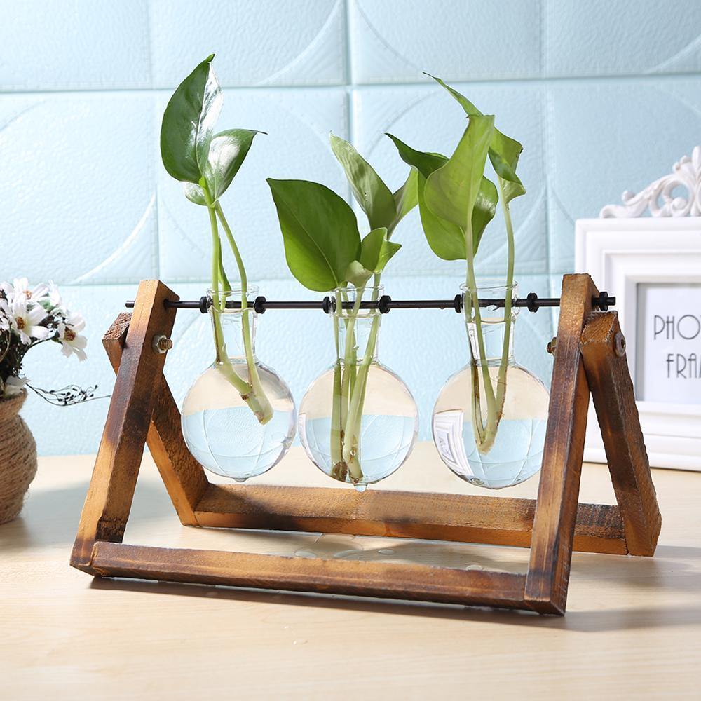 Propagation Glass Propagation Vase with A-Frame Wooden Stand sold by Fleurlovin, Free Shipping Worldwide