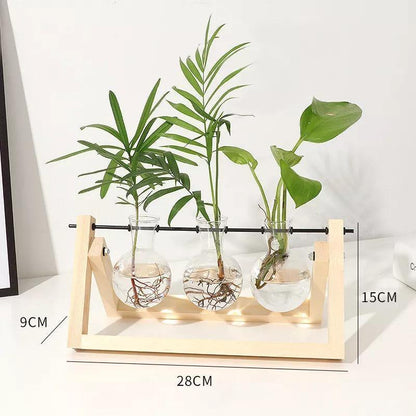 Propagation Glass Propagation Vase with A-Frame Wooden Stand sold by Fleurlovin, Free Shipping Worldwide