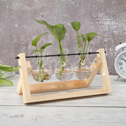 Propagation Glass Propagation Vase with A-Frame Wooden Stand sold by Fleurlovin, Free Shipping Worldwide