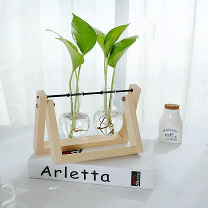 Propagation Glass Propagation Vase with A-Frame Wooden Stand sold by Fleurlovin, Free Shipping Worldwide