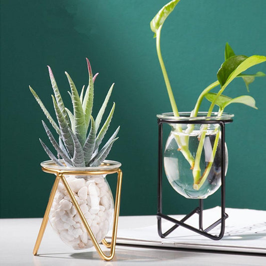 Propagation Glass Propagation Vase with Geometric Iron Stand sold by Fleurlovin, Free Shipping Worldwide