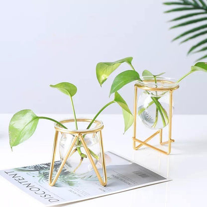 Propagation Glass Propagation Vase with Geometric Iron Stand sold by Fleurlovin, Free Shipping Worldwide