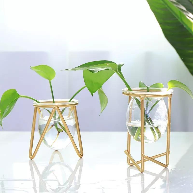 Propagation Glass Propagation Vase with Geometric Iron Stand sold by Fleurlovin, Free Shipping Worldwide