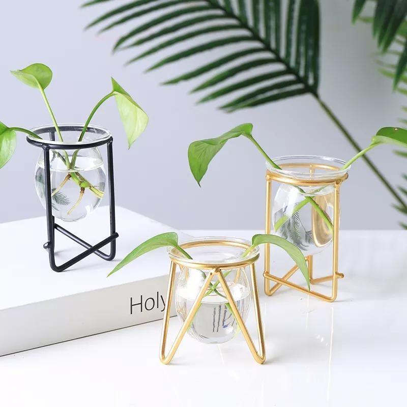 Propagation Glass Propagation Vase with Geometric Iron Stand sold by Fleurlovin, Free Shipping Worldwide