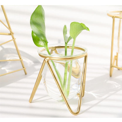 Propagation Glass Propagation Vase with Geometric Iron Stand sold by Fleurlovin, Free Shipping Worldwide