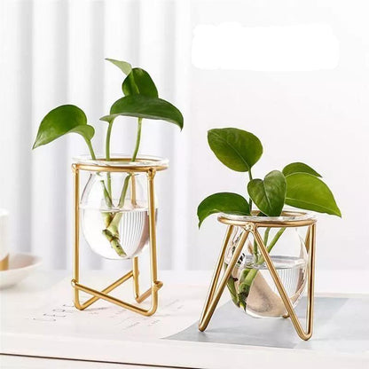 Propagation Glass Propagation Vase with Geometric Iron Stand sold by Fleurlovin, Free Shipping Worldwide