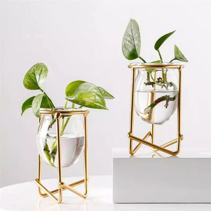 Propagation Glass Propagation Vase with Geometric Iron Stand sold by Fleurlovin, Free Shipping Worldwide