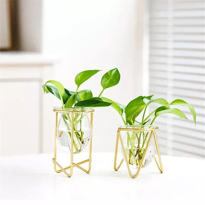 Propagation Glass Propagation Vase with Geometric Iron Stand sold by Fleurlovin, Free Shipping Worldwide