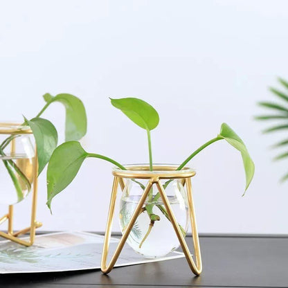 Propagation Glass Propagation Vase with Geometric Iron Stand sold by Fleurlovin, Free Shipping Worldwide