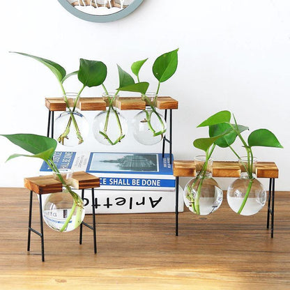 Propagation Glass Propagation Vase with Iron and Wood Stand sold by Fleurlovin, Free Shipping Worldwide