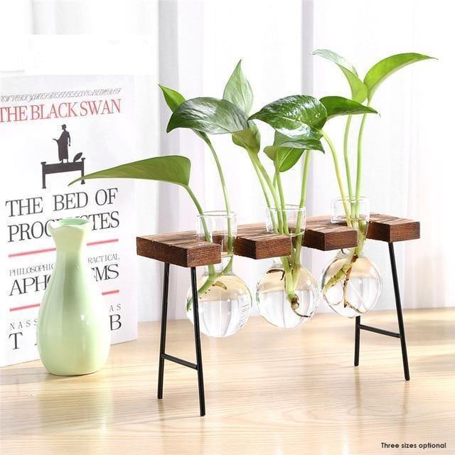 Propagation Glass Propagation Vase with Iron and Wood Stand sold by Fleurlovin, Free Shipping Worldwide