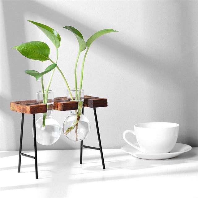 Propagation Glass Propagation Vase with Iron and Wood Stand sold by Fleurlovin, Free Shipping Worldwide