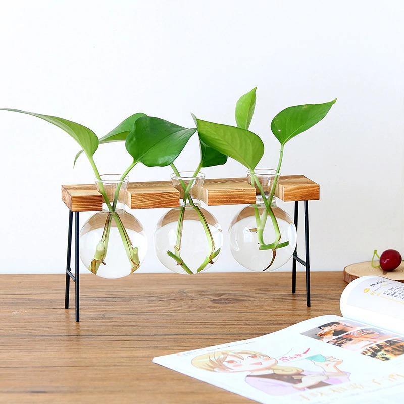 Propagation Glass Propagation Vase with Iron and Wood Stand sold by Fleurlovin, Free Shipping Worldwide