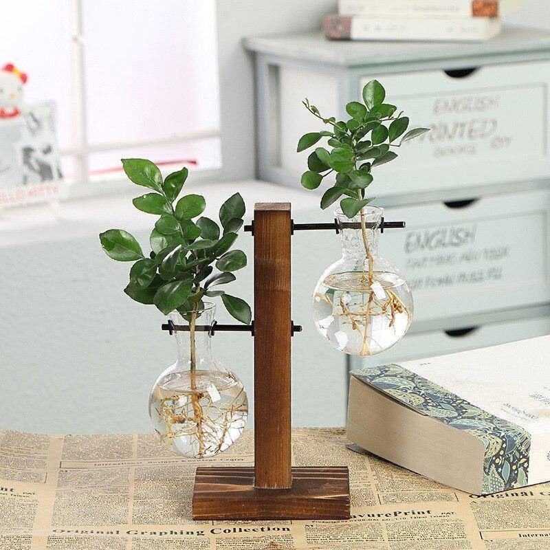 Propagation Glass Propagation Vase with Vertical Wooden Stand sold by Fleurlovin, Free Shipping Worldwide