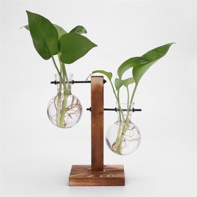 Propagation Glass Propagation Vase with Vertical Wooden Stand sold by Fleurlovin, Free Shipping Worldwide