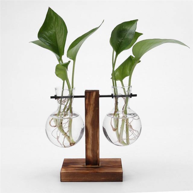 Propagation Glass Propagation Vase with Vertical Wooden Stand sold by Fleurlovin, Free Shipping Worldwide