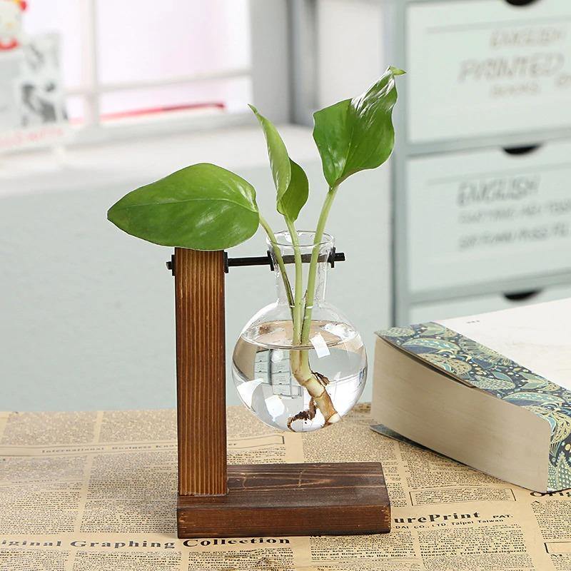 Propagation Glass Propagation Vase with Vertical Wooden Stand sold by Fleurlovin, Free Shipping Worldwide