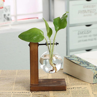 Propagation Glass Propagation Vase with Vertical Wooden Stand sold by Fleurlovin, Free Shipping Worldwide