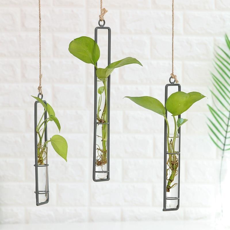 Propagation Hanging Iron Propagation Terrarium Vases sold by Fleurlovin, Free Shipping Worldwide