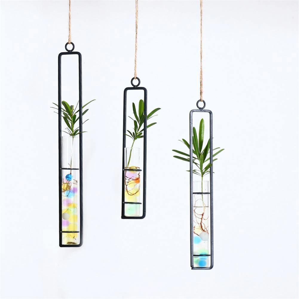 Propagation Hanging Iron Propagation Terrarium Vases sold by Fleurlovin, Free Shipping Worldwide