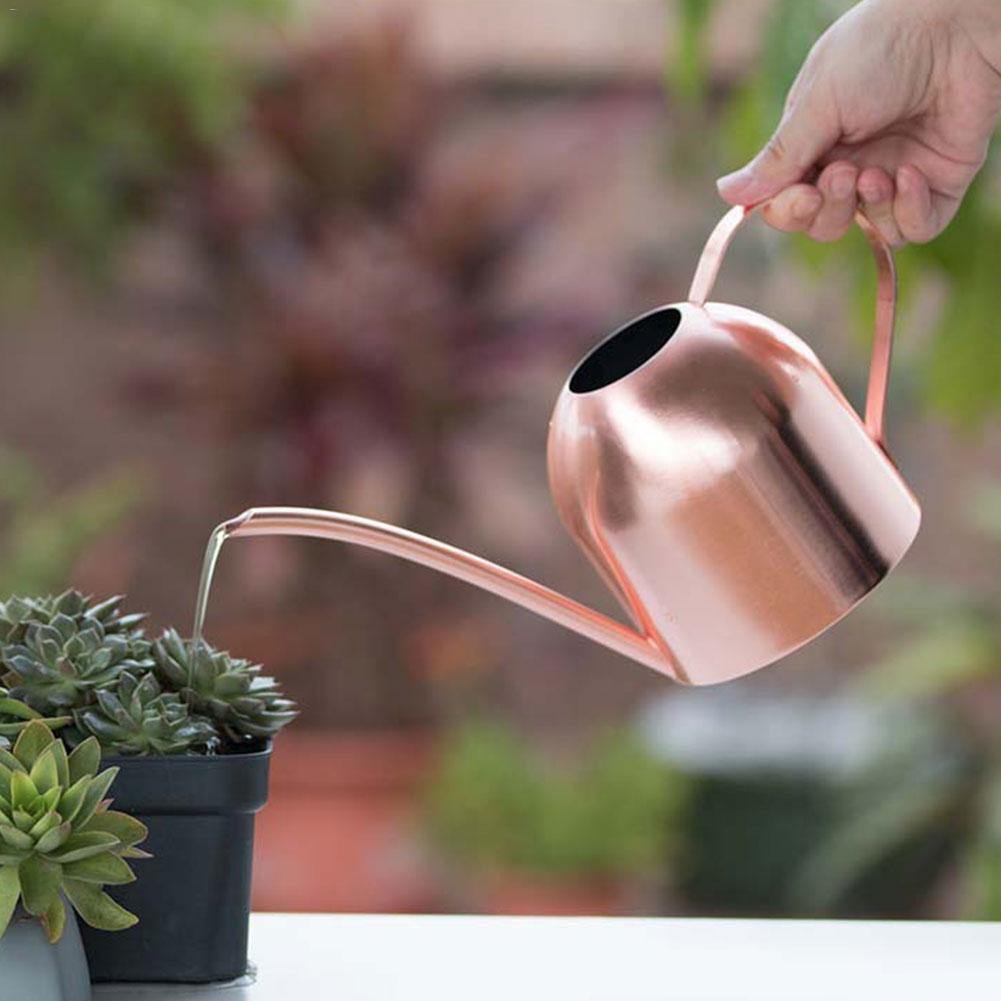 Watering Cans Gooseneck Dome Stainless Steel Watering Can sold by Fleurlovin, Free Shipping Worldwide