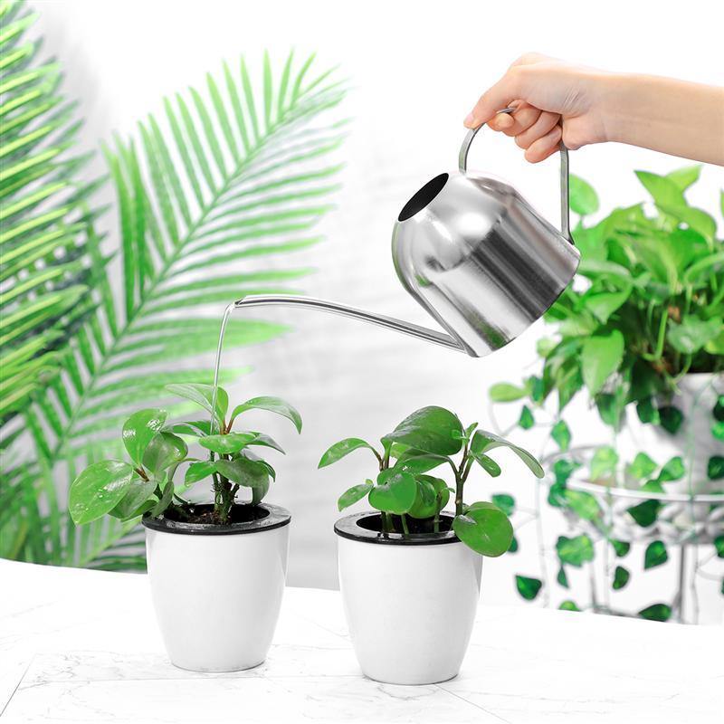 Watering Cans Gooseneck Dome Stainless Steel Watering Can sold by Fleurlovin, Free Shipping Worldwide