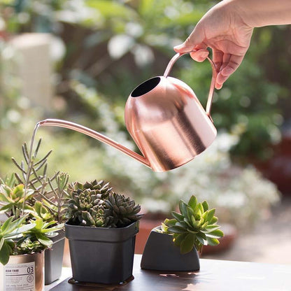 Watering Cans Gooseneck Dome Stainless Steel Watering Can sold by Fleurlovin, Free Shipping Worldwide